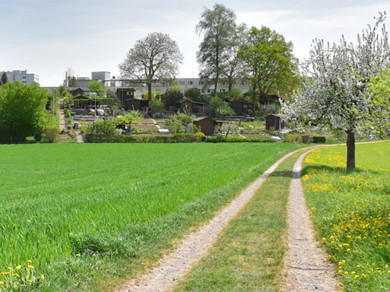 Alters- und Pflegezentrum Herrenbergli