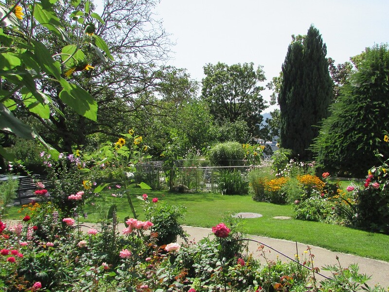 Hauserstiftung Höngg – Wohnen im Alter