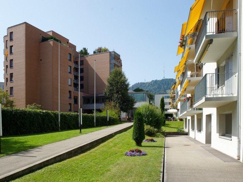 Seniorama Wiedikon Im Tiergarten